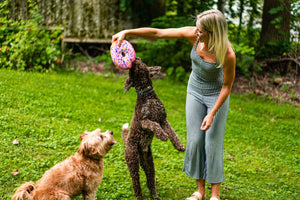 Pet Friendly Dog Bakery