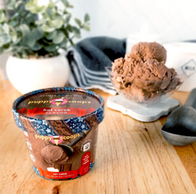 Load image into Gallery viewer, Holiday Puppy Scoops Ice Cream 2.32 oz
